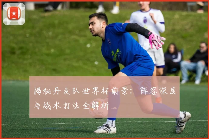 揭秘丹麦队世界杯前景：阵容深度与战术打法全解析