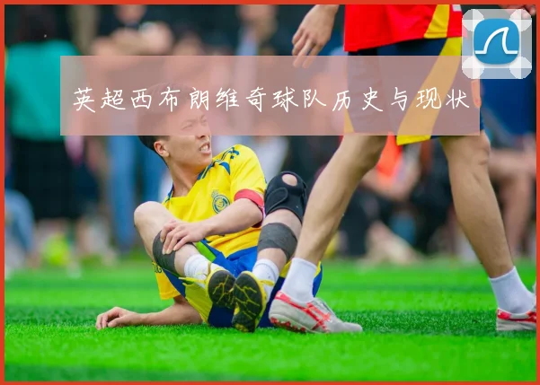 英超西布朗维奇球队历史与现状
