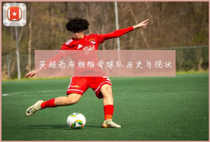 英超西布朗维奇球队历史与现状