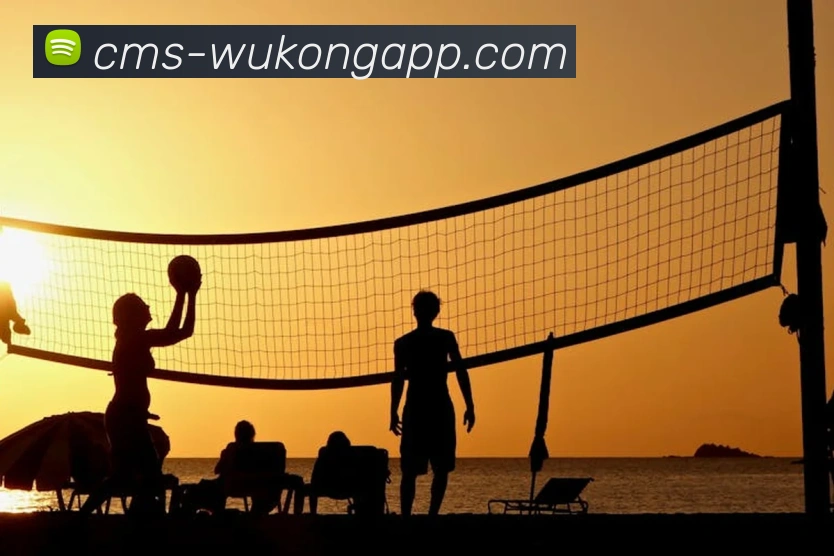 悟空体育appAPP 封面图